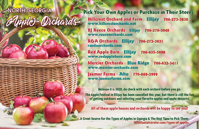 Apple Ochards in North Georgia