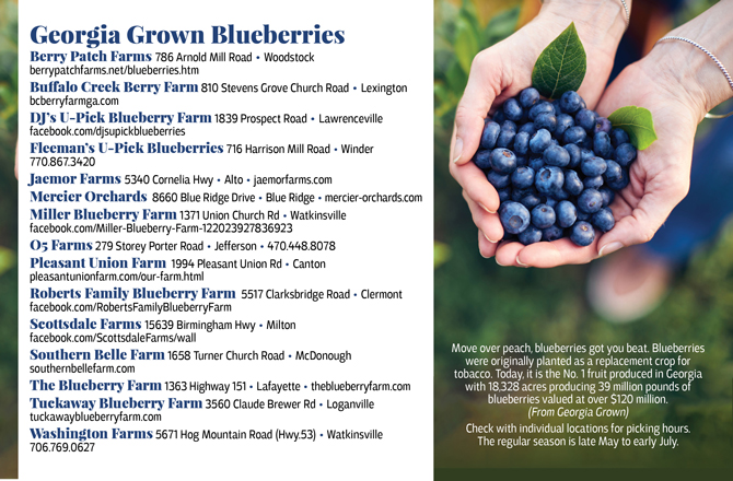 Georgia Grown Blueberries
